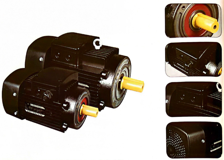 MS/MSHE/MSE3系列鋁殼高效三相異步電動(dòng)機(jī)